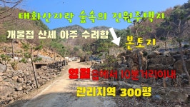 세종공인중개사사무소