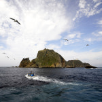 울릉도여행사 굿투어