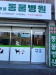 펫콤동물병원