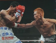 채승곤KO복싱 홍농점