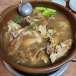해가빛
