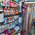 도그버디 신도봉점