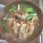 해가빛