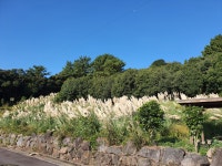 카페미깡감귤밭