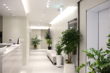 핑이비인후과의원