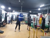 동부신도복싱