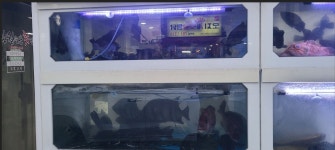 일월수산횟집