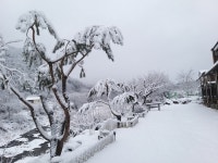 산수화펜션