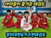 키즈펀태권도