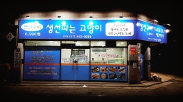 생선파는고양이