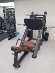 PT몽키위드레몬