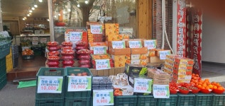 올바른장터