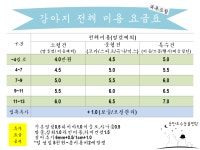 동탄호수동물병원