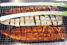 풍천장어숯불구이