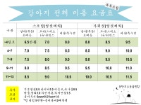 동탄호수동물병원