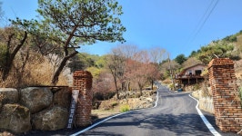 포레스트 벨리 캠프