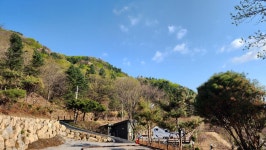 포레스트 벨리 캠프