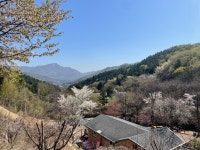 포레스트 벨리 캠프