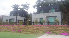 라움에디앙