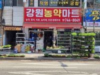 강원농약마트