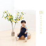 가평 오리나무길사진관