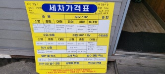 차사랑손세차