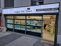 해피애견타운 강아지고양이 서울 충무로점