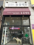 닥터김동물병원