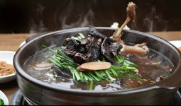 송원흑염소