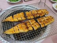 풍천참숯불장어구이