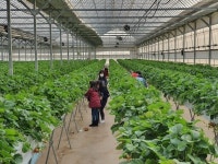 사랑마을지역아동센터