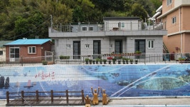 살로메스테이