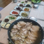 약초생활건강
