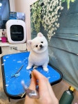 살롱드 멍