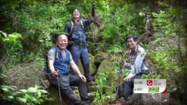 소백산자연지기산약초 | 소백산자연약초