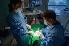 365서울탑플란트치과의원 순천