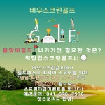비우스크린골프