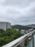 새희망병원