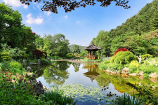 아침고요수목원