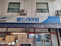 월드라이팅