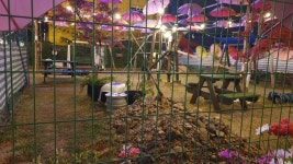 도시정원묘한세상 고양이정원에산다