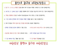 용인대꿈나무태권도