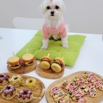 문해담펫푸드아카데미 울산점