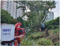 부산목재상사