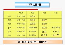 경희대라이온태권도