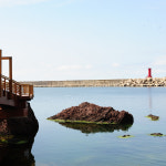 울릉도여행사 굿투어