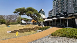 카페리노
