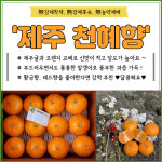 예덕농장 천년의향기