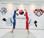 경희대라이언태권도