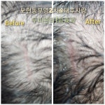 태후사랑 모현부영2차점